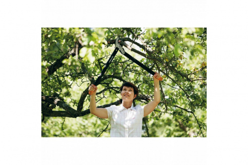 �������� Fiskars ���������� � ���. �������� 700�� ���� 5