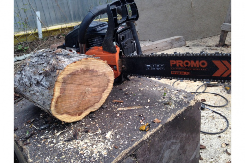 ��������� CARVER PROMO PSG-52-18 ���� 4