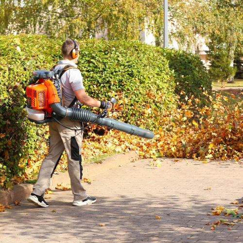 Воздуходувка ранцевая бензиновая DAEWOO DABL 760 фото 19 Воздуходувка ранцевая бензиновая DAEWOO DABL 760 фото 19