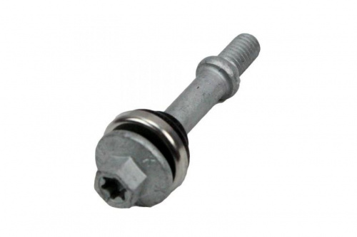 Винт крышки вариатора для квадроцикла BRP (внутренний торкс) Винт крышки вариатора для квадроцикла BRP (внутренний торкс)
