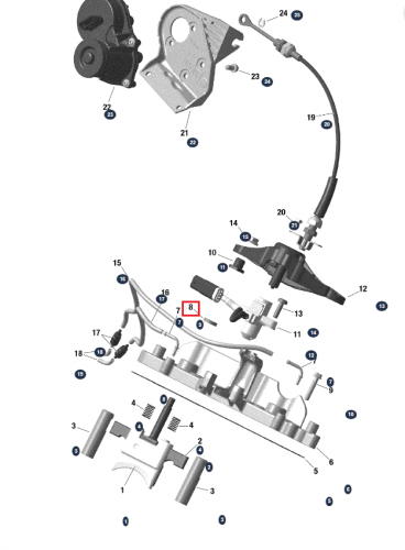 �������� ��������� RAVE ������� BRP 09-719117 ���� 2